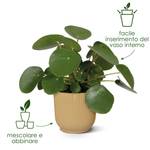 vibes fold round 16cm butter yellow